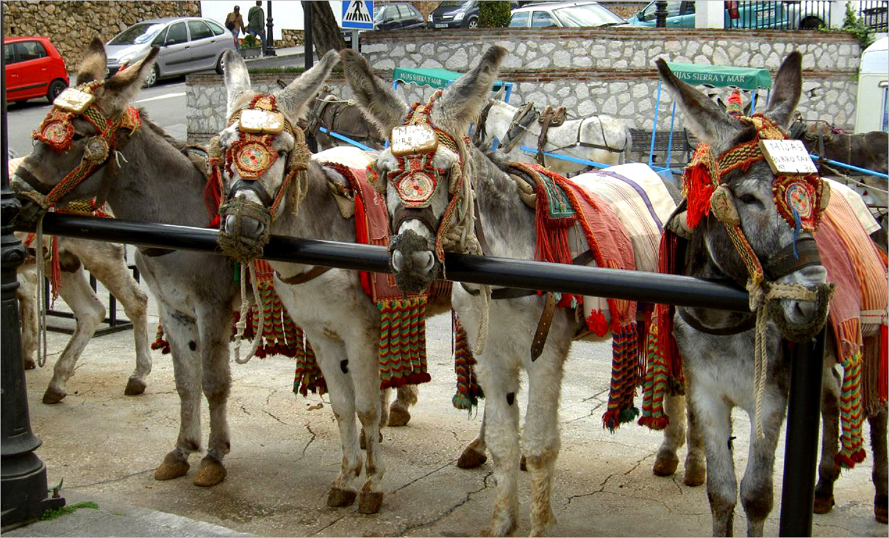 Transfers to Mijas Pueblo